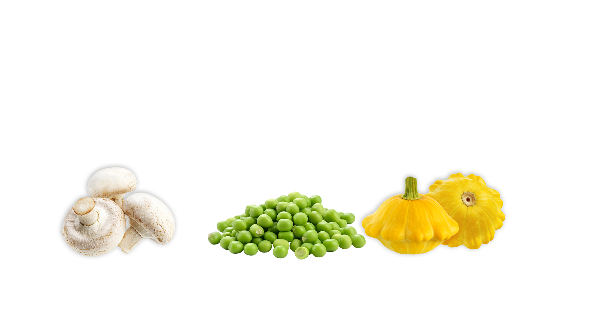 Dworek 1905 - marchewka